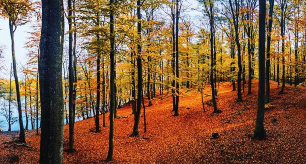 Lipnitzsee Landscape