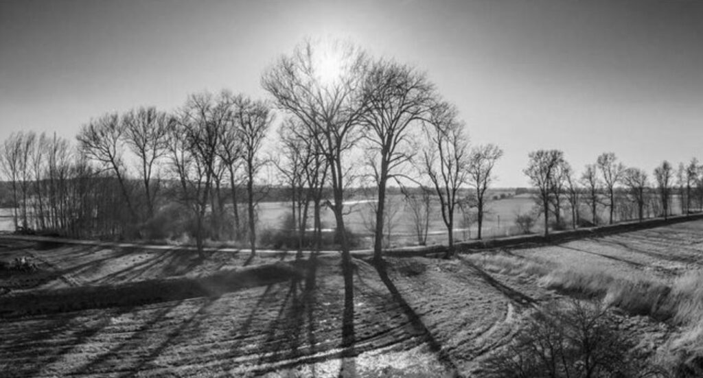 Elbe Sunset Landscape