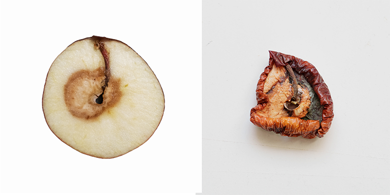 A Metamorphosis &mdash; Apple, 2026, diptych by Jan Madeus
