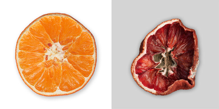 Diptych photography: a fresh orange slice beside the same slice dried to a dark red disc