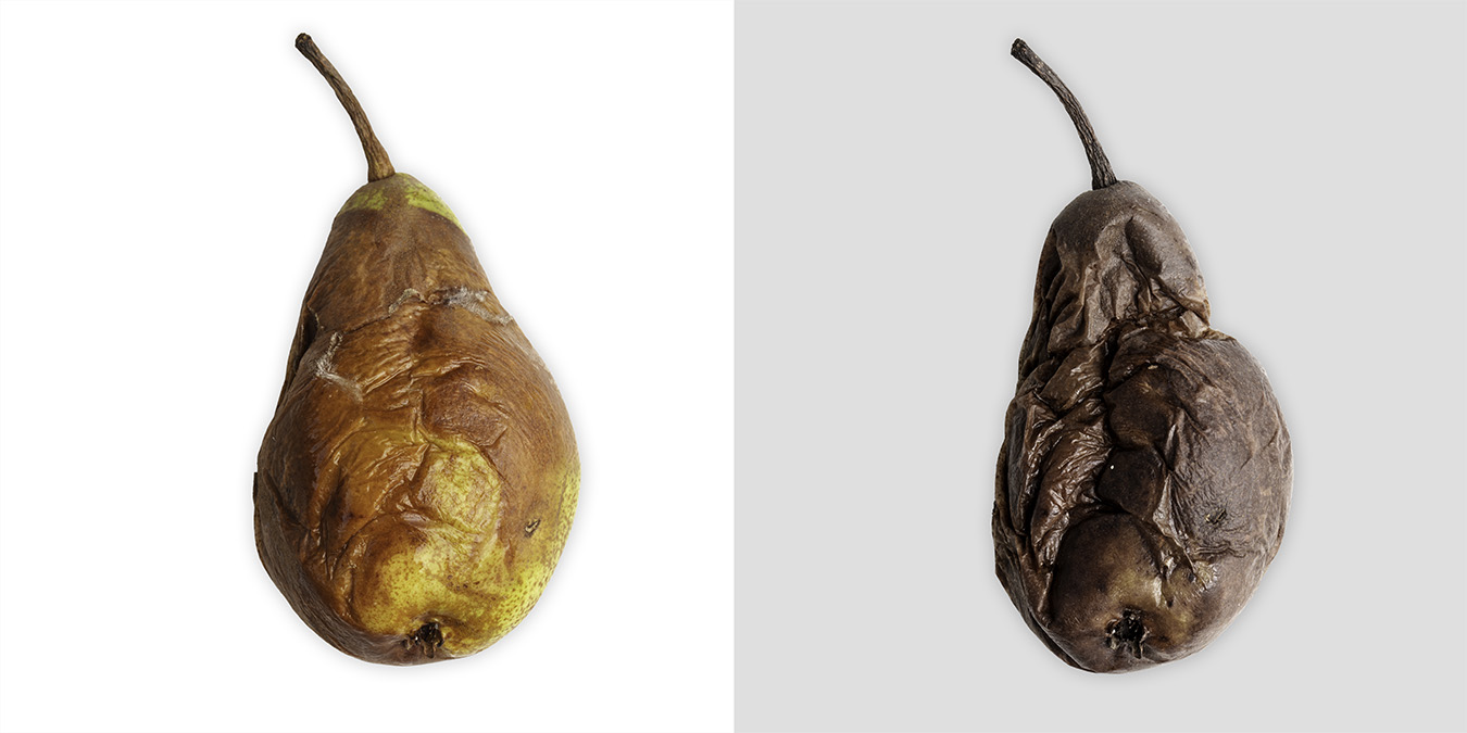A Metamorphosis &mdash; Pear, 2026, diptych by Jan Madeus