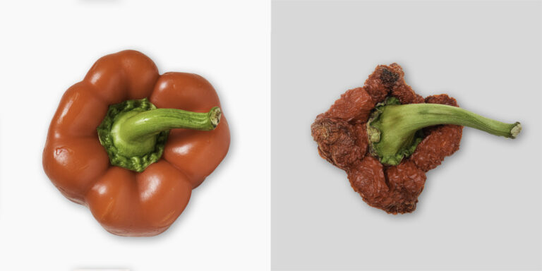 Diptych: a red bell pepper beside the same pepper shrunken and dried