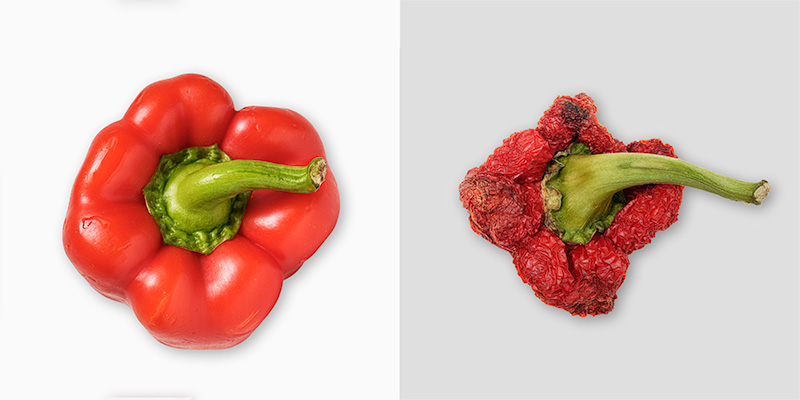 A Metamorphosis &mdash; Pepper, 2026, diptych by Jan Madeus