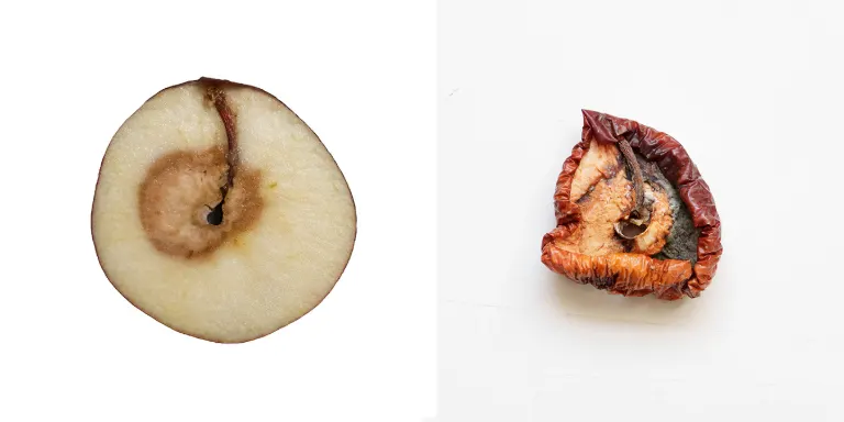 Diptych of an apple cut open, from the Metamorphosis series