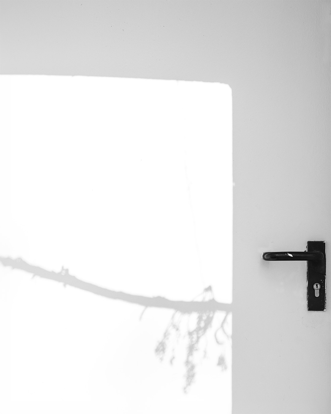 Black and white door in Berlin with a branch shadow and sunlight