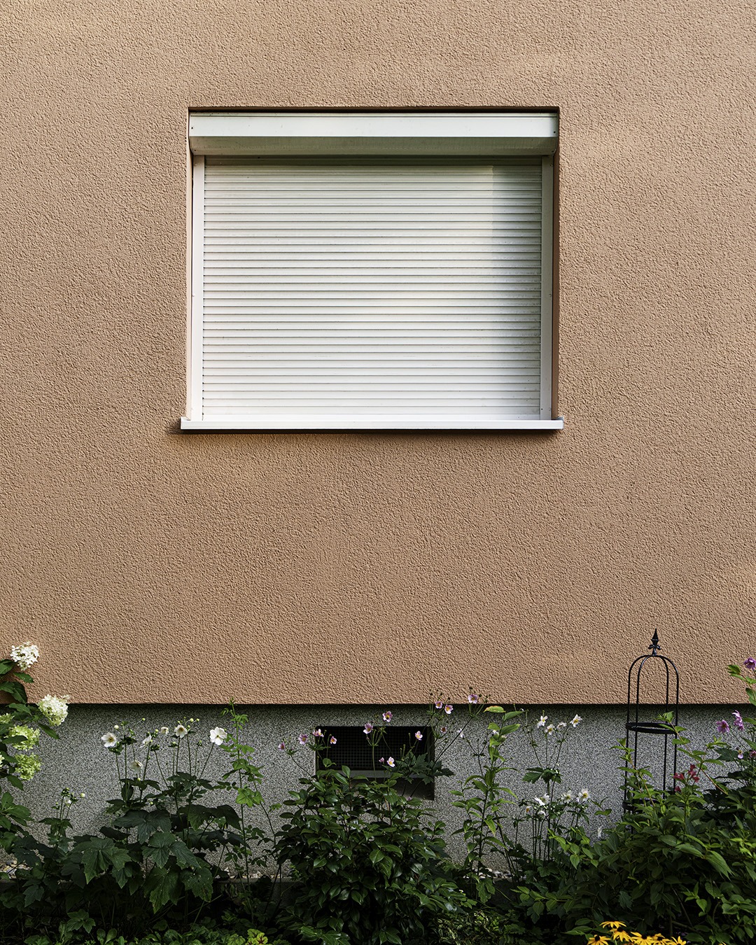 Salmon rendered wall with a white shutter housing and closed shutter, a garden of dark green plants along the lower edge