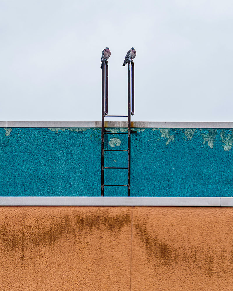 Roof parapet with a ladder and two doves, colour-shifted, Berlin-Kreuzberg